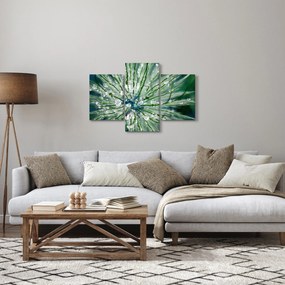 Kép - Makro kép egy virágról (90x60 cm)