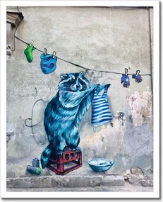 Poszter keretben 40x50 mosómedve graffiti csíkok