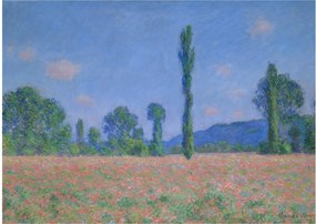 Üveg kép - Claude Monet, Poppy Field (Giverny), reprodukciók (70x50 cm)