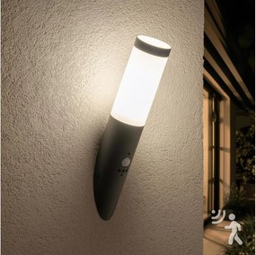 BRILAGI - Kültéri fali lámpa érzékelővel ELIA 1xE27/20W/230V IP44 antracit