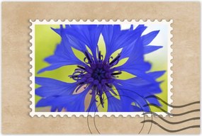 Poszterek 90x60 Chaber