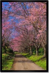 Poszterek keretben 40x60 Virágzó cseresznye