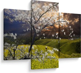Kép - Virágzó fa az országban (90x60 cm)