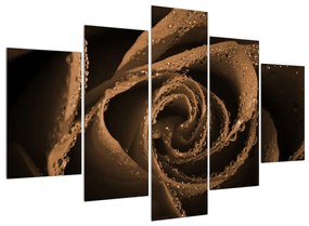 Cseppek a rózsán (150x105 cm)