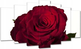 Vászonkép 140x80 Vörös rózsa fehér között