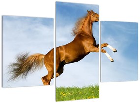 Kép - lovak, a hátsó (90x60cm)
