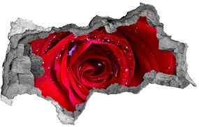Fali matrica lyuk a falban Rózsa virág nd-b-100979783