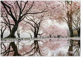 Poszterek 100x70 Fa Fák Kilátás