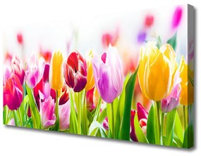 Vászonkép falra tulipán virágok 100x50 cm