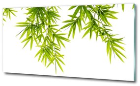 Egyedi üvegkép Bambusz levelek osh-81471407