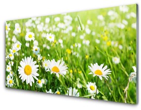 Fali üvegkép Daisy Flower Plant 100x50 cm