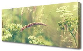 Vászonkép falra Wild Plants Természet 140x70 cm