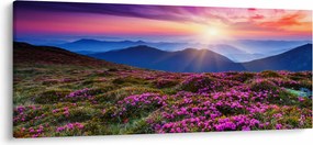 Kép - Hegyi virágzó táj (120x50 cm)