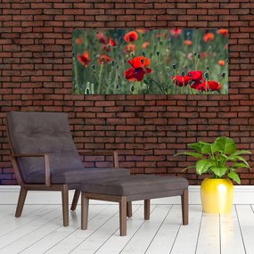 Kép - Rét mák virággal (120x50 cm)