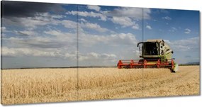 Vászonkép 60x30 Kombájn az aratás idején
