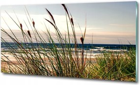 Fotó kép edzett üveg Korona fák 100x70