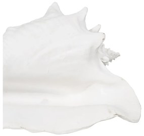 Poligyanta szobor (magasság 13 cm) Seashell – Ixia