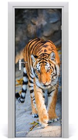 Ajtó tapéta Tigris 85x205 cm