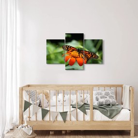 Pillangó képe a virágon (90x60 cm)