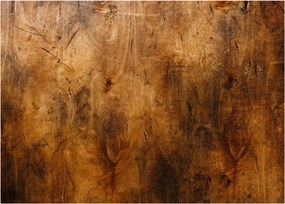 Kép - Fa részlete (üvegen) (70x50 cm)