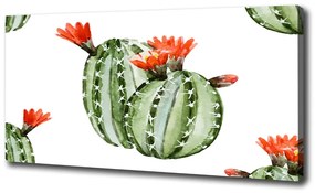 Fali vászonkép Kaktuszok oc-86911813