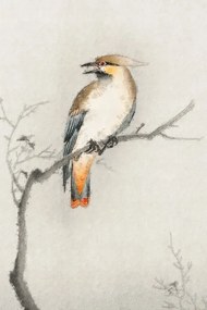 Vászonkép fali dekoráció Madár az ágon Fagyöngy 30x40