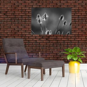 Kép - Bézs színű puha fű N⁰2 (90x60 cm)