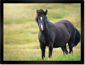 Poszterek keretben 40x30 Szél az orrlyukakba