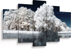 Kép - Hófehér fák (150x105 cm)