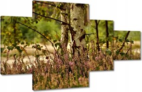 Vászonkép 130x80 Nyírfa a hangák között Erdő