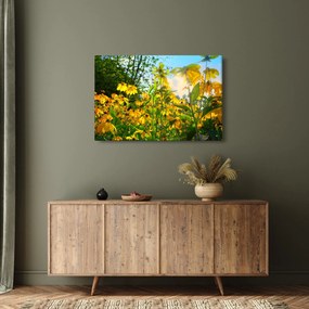 Sárga virágok képe (90x60 cm)