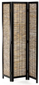 Barna Paraván. EF-L174 BK