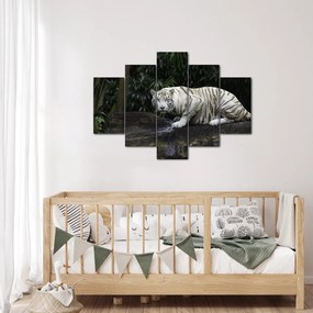 Kép - albínó tigris (150x105 cm)