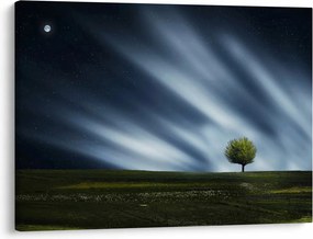 Az aurora borealis képe egy lápvidéken (70x50 cm)
