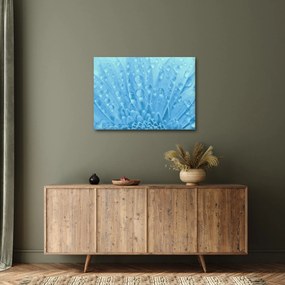 Kép - Makro felvétel egy virágról (70x50 cm)