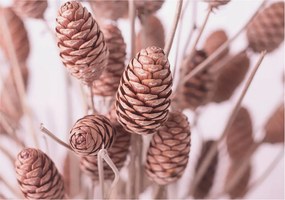 Flizelin tapéta Divatos 3D fali természetes elegancia 312x219 ragasztóval