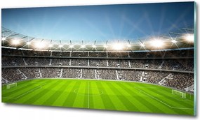 Fotó üveg kép Labda a gyepen 125x50