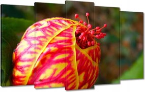 Vászonkép 100x60 Nőnap Ajándék Love