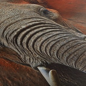 Kép - Elefántok Tsavóval (90x60 cm)