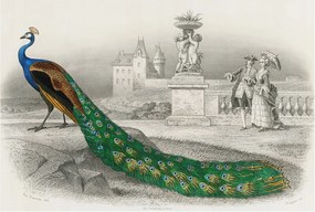 Fotótapéta Flizelina Nappali és Hálószoba Irodába Színes tollak 104x70 Ragasztó