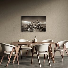 Fekete fehér tigris képe (90x60 cm)