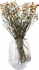 Szárított Aranyszínű natúr szárított csokor vázába, pálmafák