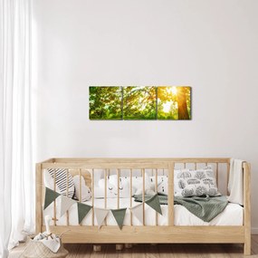 Kép - Sunny Forest (órával) (90x30 cm)