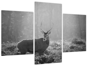 Kép - Szarvas az erdőben, fekete-fehér (90x60 cm)