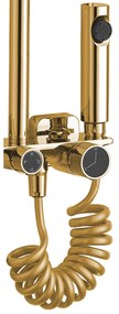Zuhanyszett REA HELIX Gold