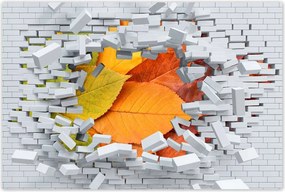 Poszterek 60x40 Őszi színes levelek Levelek az ősz színeiben