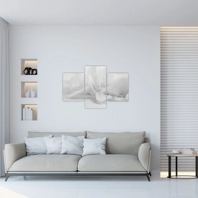 Kép - Tollak (90x60 cm)