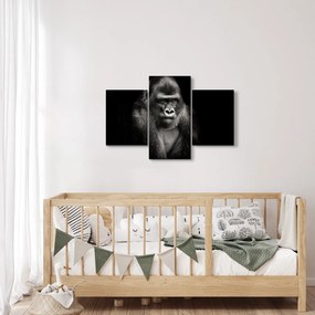 Kép - Gorilla (90x60 cm)