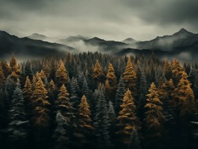 Poszter 80x60cm Ködös reggel