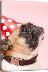 Ifjúsági Vászonkép Mopsz Születésnap Állatok Természet Kutya 40x60
